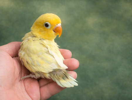 2D5A1B9A-38CD-4A9E-B1FB-B25A6694F724